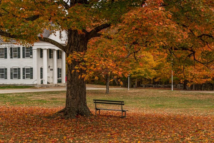 New England autumn scene